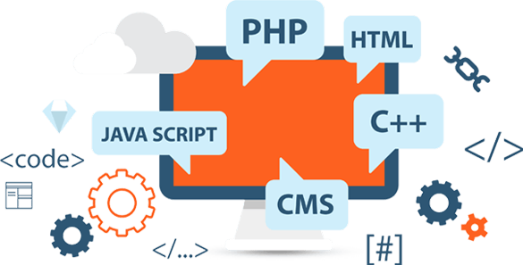 Web Design and Development